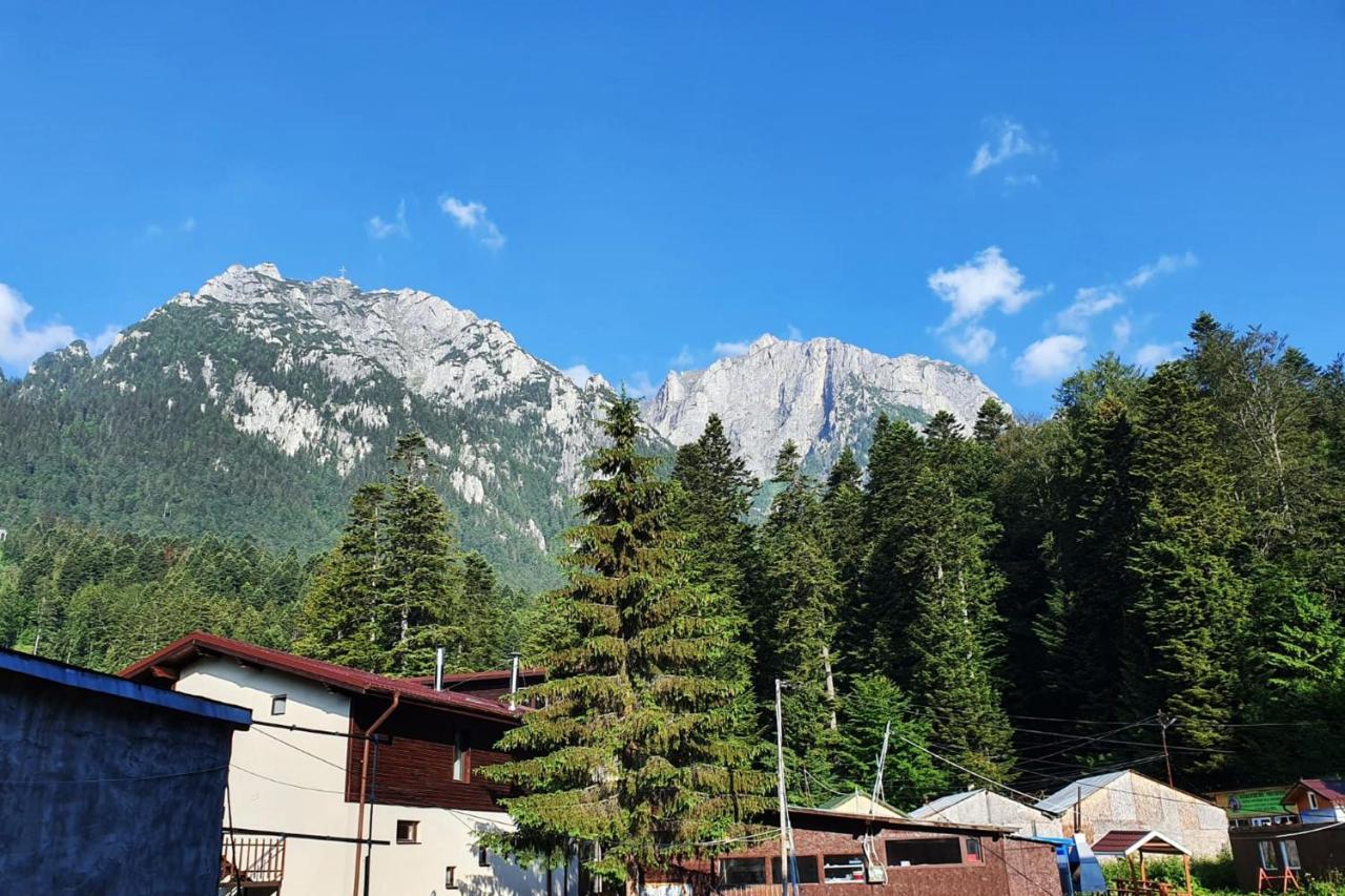 Apartament Eric, Buşteni Exterior foto